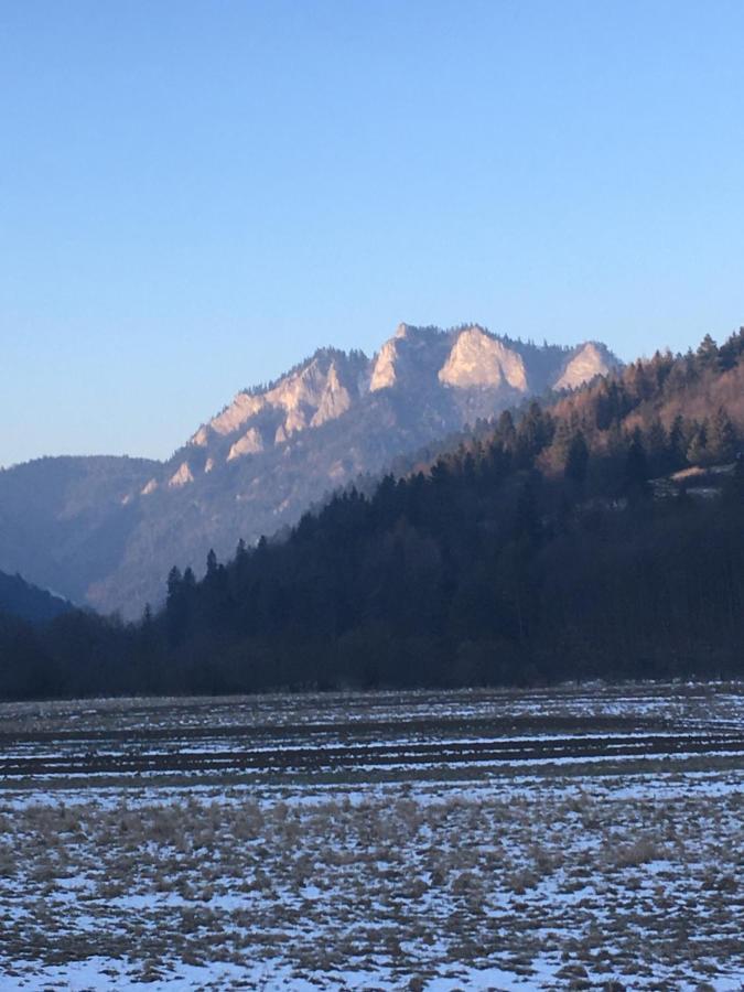 ホテル Penzion Roal Pieniny スピスカ・スタラ・ヴェス エクステリア 写真