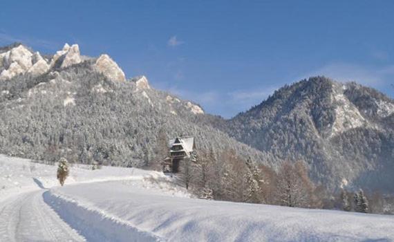 ホテル Penzion Roal Pieniny スピスカ・スタラ・ヴェス エクステリア 写真