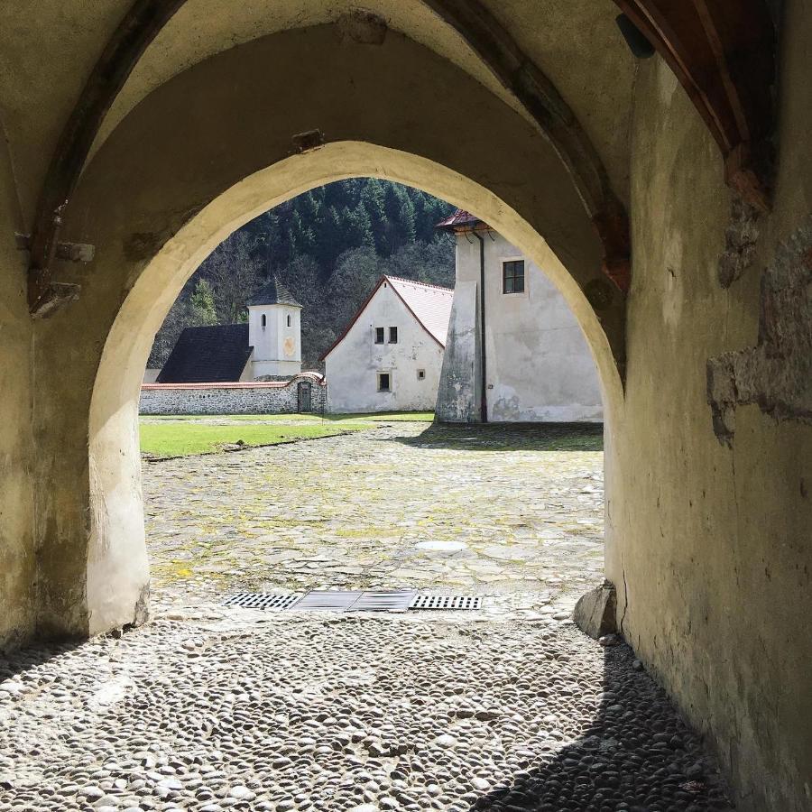 ホテル Penzion Roal Pieniny スピスカ・スタラ・ヴェス エクステリア 写真