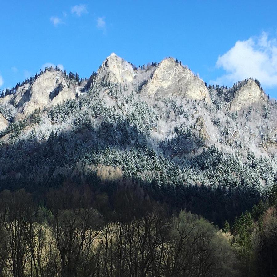 ホテル Penzion Roal Pieniny スピスカ・スタラ・ヴェス エクステリア 写真