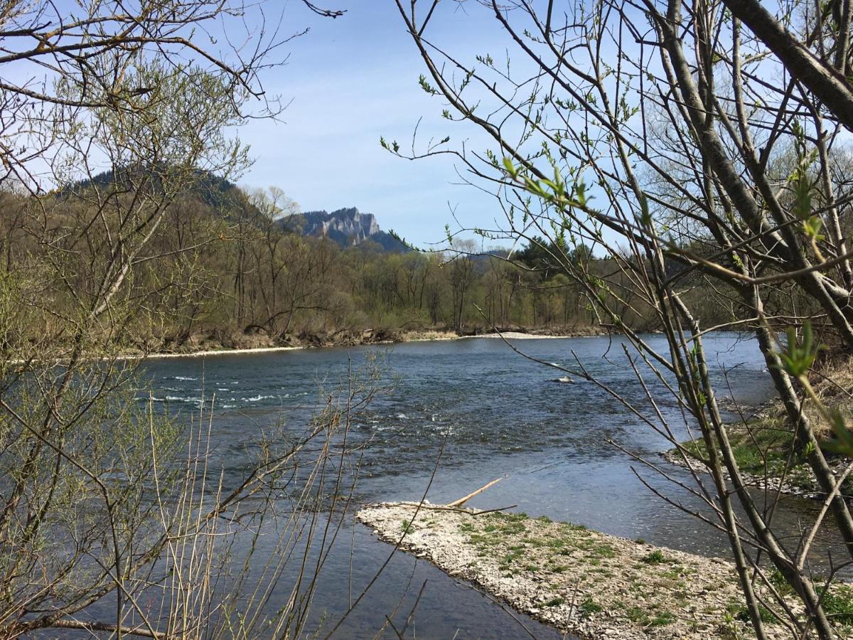 ホテル Penzion Roal Pieniny スピスカ・スタラ・ヴェス エクステリア 写真